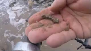 Beach Metal Detecting some GOLD I can sink my Teeth In