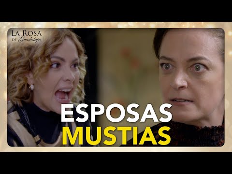 CAPÍTULOS de La Rosa de Guadalupe: La mula, La cama de otro hogar, Dulce Espera