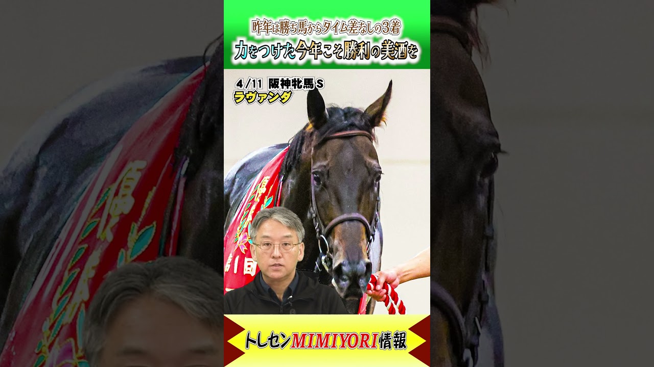 昨年僅差敗れた舞台、重賞勝ちの経験積んで今年こそ！！ #ラヴァンダ #阪神牝馬ステークス  #shorts