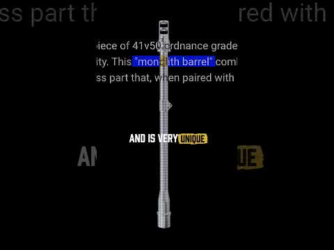 Is This Rifle Actually Worth $1200? (monolith by global ordnance)