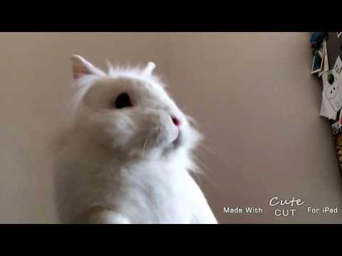 Shanti is RE happy (we are happy from Taranto)