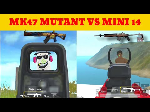 Mk 47 Mutant vs Mini 14 Damage Test