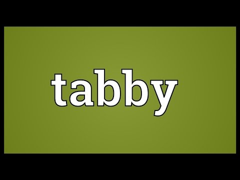 Tabby Meaning