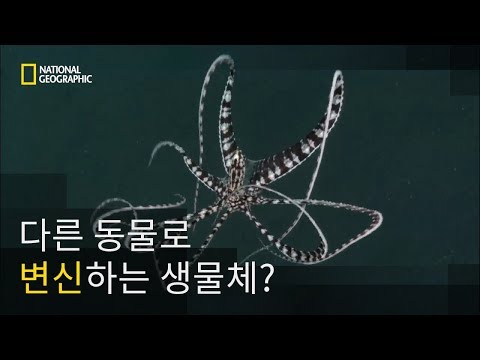 아이콘