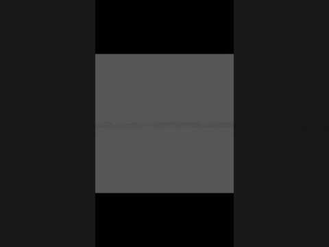 LaReina X Papi Chulo XAlmighty