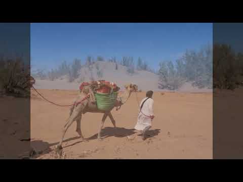 Wüstentour M'hamid-Auberge Sahara Espace-Bivouac Chez Ali-Erg Chegaga