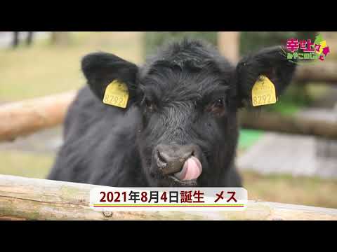 2022年5月4日(水)放送 第5回 高千穂牧場の魅力を紹介