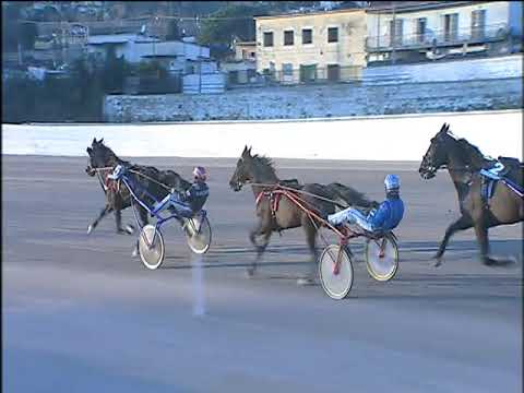 Trotto 10/01/2020 - 4ª corsa