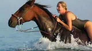 Horse slaughter in another light