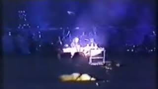 Dead flower guns n roses