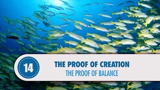 Video: Ecological balance proves God - Quran Miracle