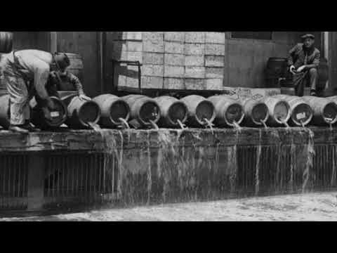 "Prohibition Questions Answered" (The Outlook, July 22, 1925)