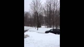 Spring 2013 in east Twig