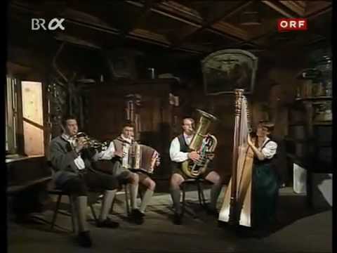 Junge Lungauer Tanzlmusi