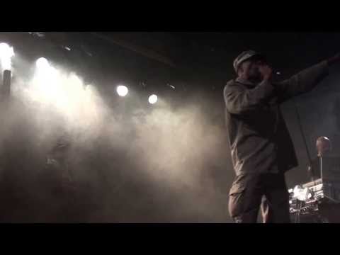 VIBRONICS meets BRAIN DAMAGE LIVE TOULON