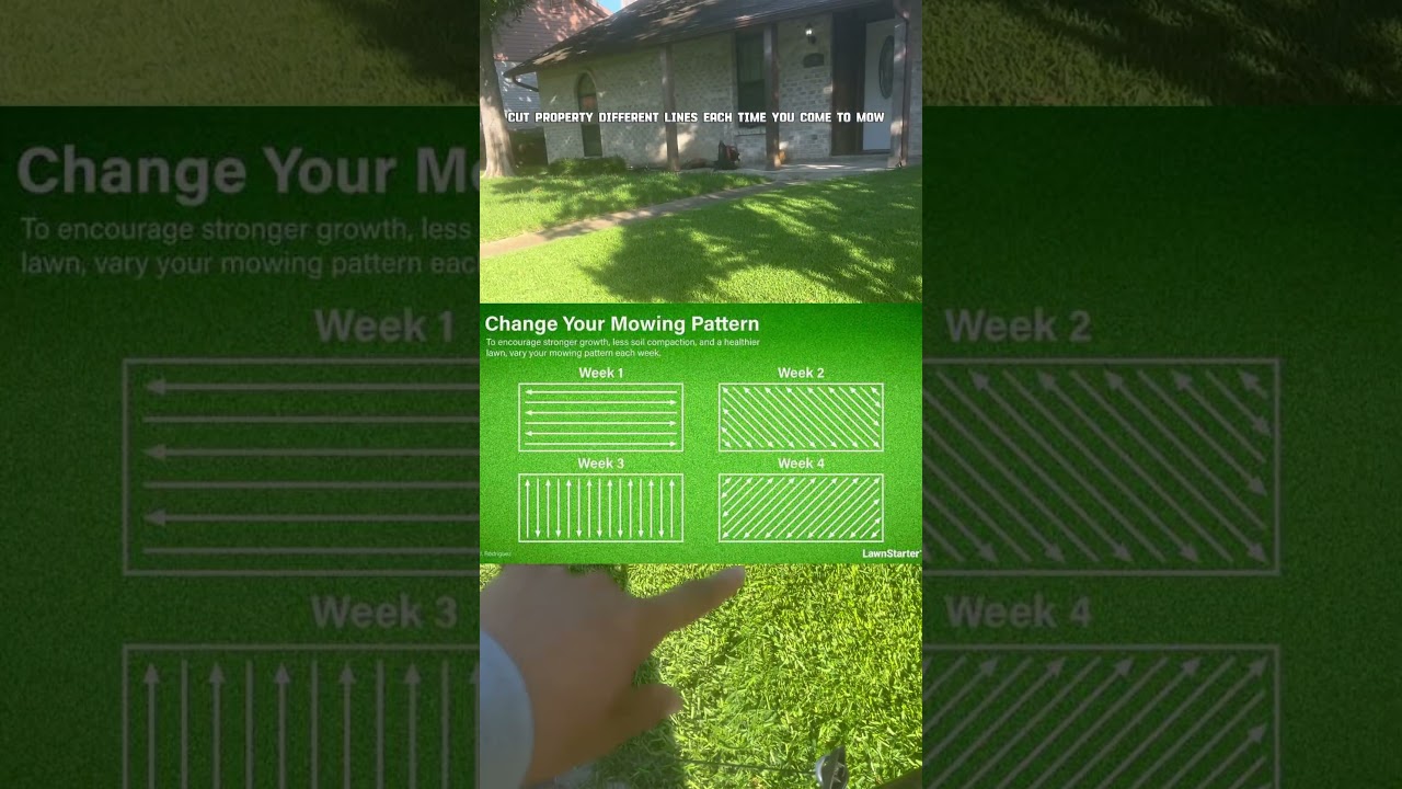 Before and after lawn mowing and slight tips #lawnmowingbusiness #lawncare #grassmowing #lawntips