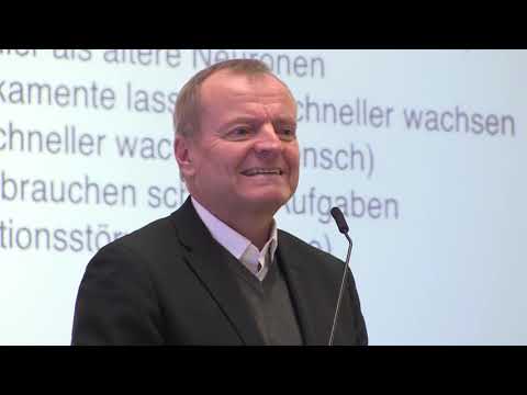 Sport und Gehirn   was weiß die Neurowissenschaft