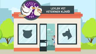 Leylek Vet Veteriner Kliniği - Maltepe, Küçükyalı