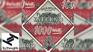 Quantic presenta Flowering Inferno - 1000 Watts (Full Album Stream)