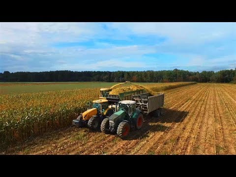 UR. BLEJK | Zbiór traw| Koszenie kukurydzy na dużą skalę| DabroLs