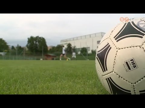 Zanat-Haladás együttműködés