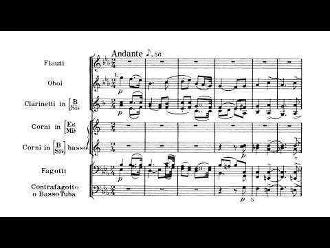 Richard Strauss - Serenade for wind ensemble Op. 7 (audio + sheet music)