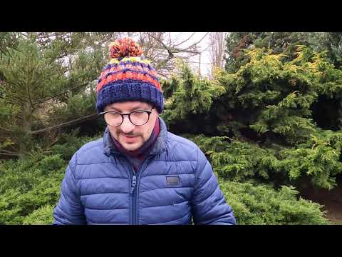 Jaka jest odpowiedź Boga na zło?