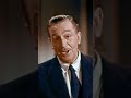 Walt Disney Presents Lady And The Tramp Shorts