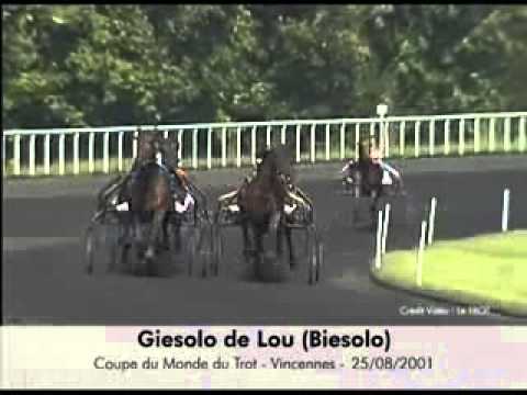 Coupe du Monde de Trot 2001 -Giesolo de Lou