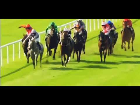 2018 Flying Five Stakes