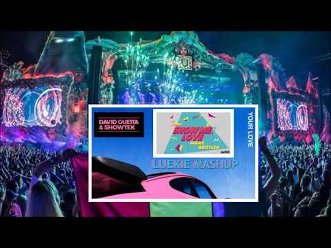 JAGGS x David Guetta & Showtek - Show Me Your Love (Luekie Mashup)