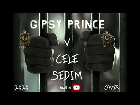 GIPSY PRINCE - V CELE SEDÍM  2020 COVER
