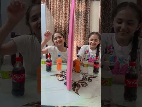 Twin Telepathy Game # twin sister # challenge