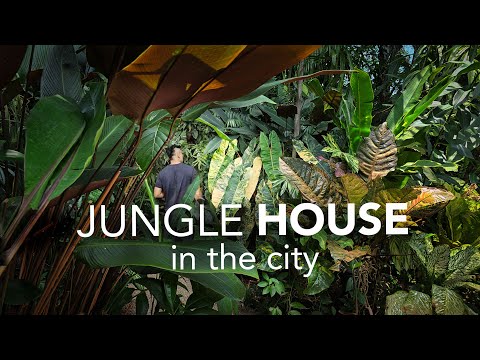 Inside a DIY Jungle Garden & Art-filled Home | Garden Design Tips ft Journey Through Paradise