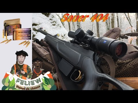 Bewerten Sauer 404, Modularität: ab Version "Elegance" auf "Carbon", meine Munition