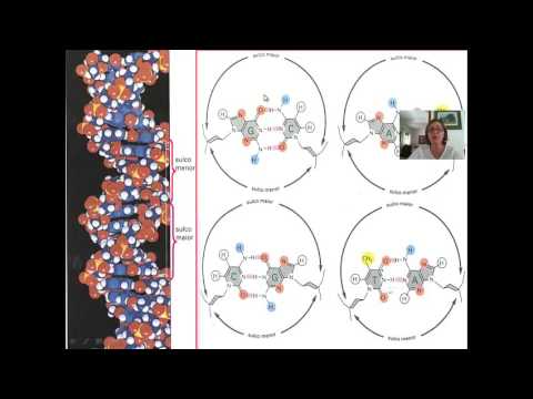 Oncogenética Aula 1 Bases - Genética e Biologia Molecular na Oncologia