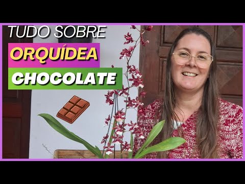 ORCHIDS: Tips for successfully growing ONCIDIUM SHARRY BABY | Chocolate Orchid