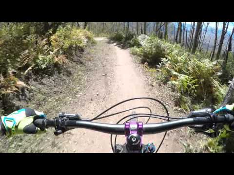 Transition Smuggler on Rustler's Ridge