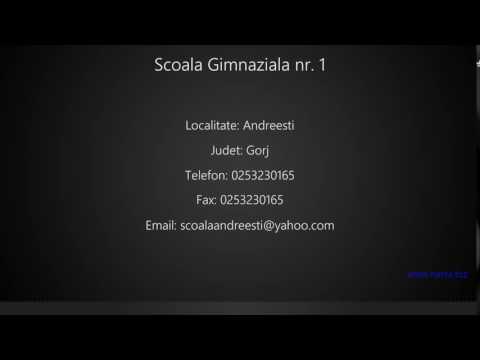Scoala Gimnaziala nr. 1  Andreesti
