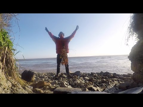 Fenn Rosenthal - Dinosaurs In Love (feat. Tom Rosenthal) (lip sync)