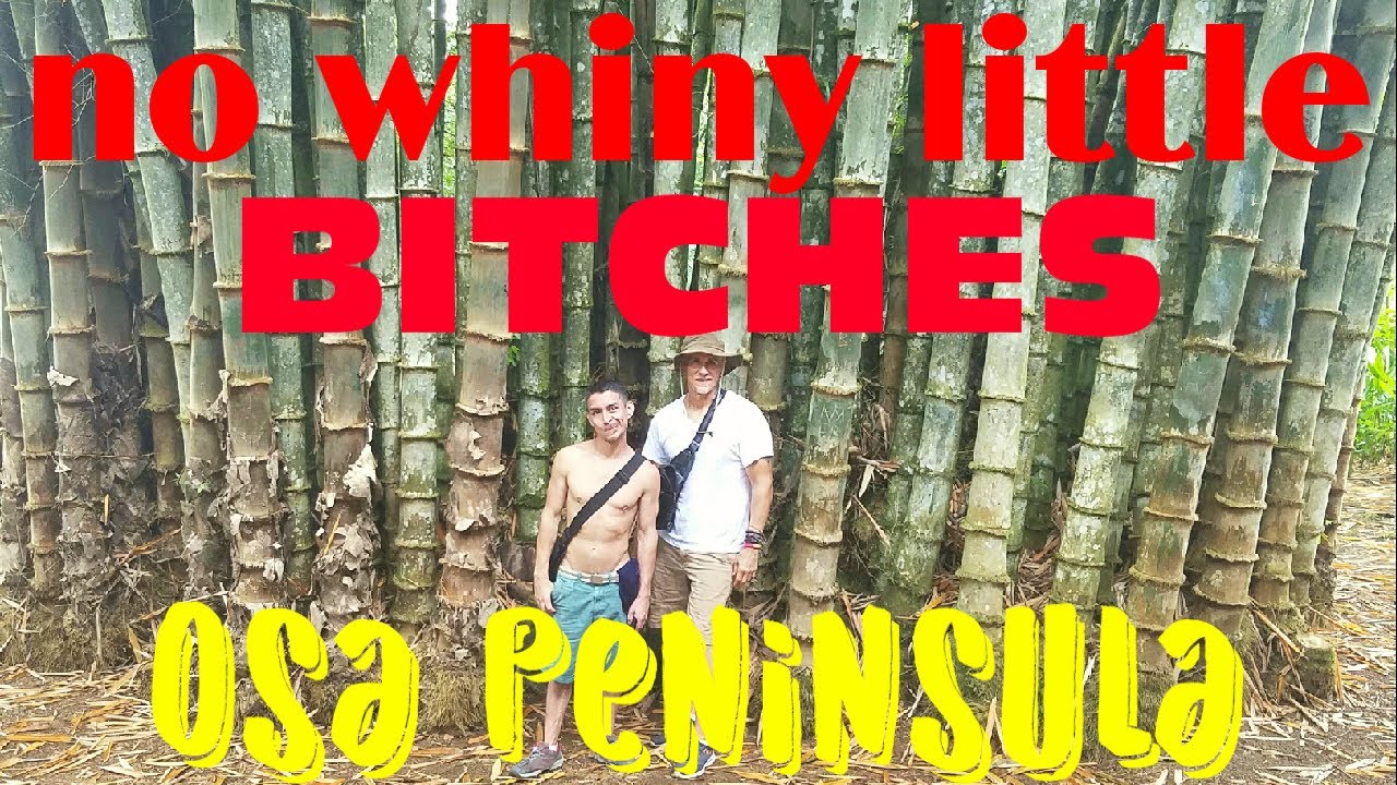 What is 100 Reasons to Live? Tipseri