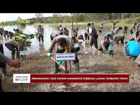 PRESISI UPDATE : GERAKAN PENANAMAN 1.300 POHON MANGROVE 21/02/2024 18.00