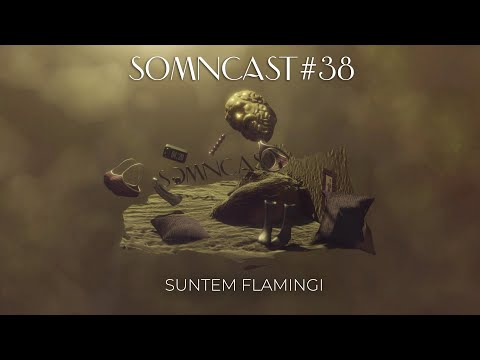 Somncast #38 - 🦩 Suntem Flamingi 🦩 - cu Raul Gheba și Costel Bojog