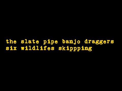 the slate pipe banjo draggers - six wildlifes skippping