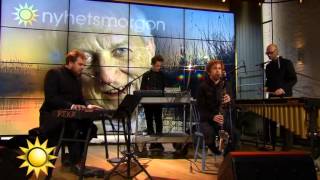 Loney dear plays C-major on Swedish TV4 Nyhetsmorgon 2015.