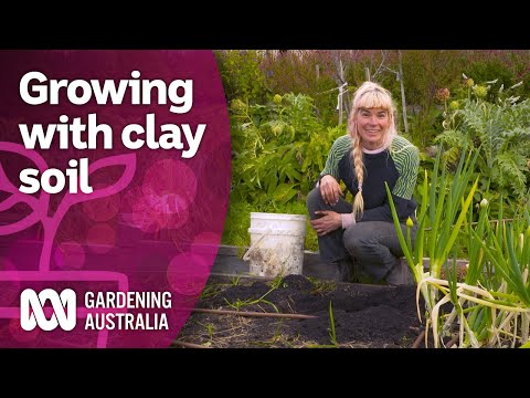 Tips for growing with heavy clay soil in your garden | Discovery | Gardening Australia