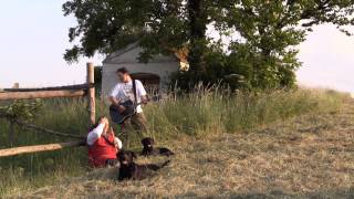 Star of the County Down