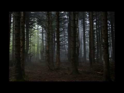 Trisan / Winter Moon