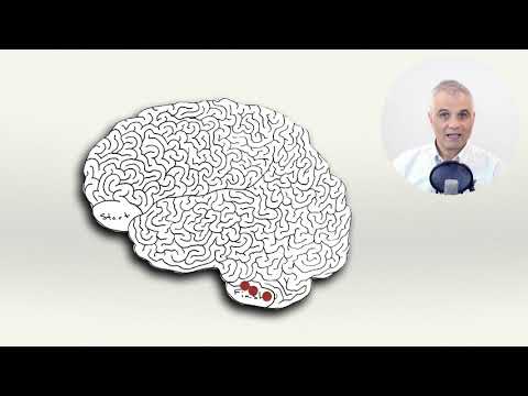 Tessuto nervoso, prima parte