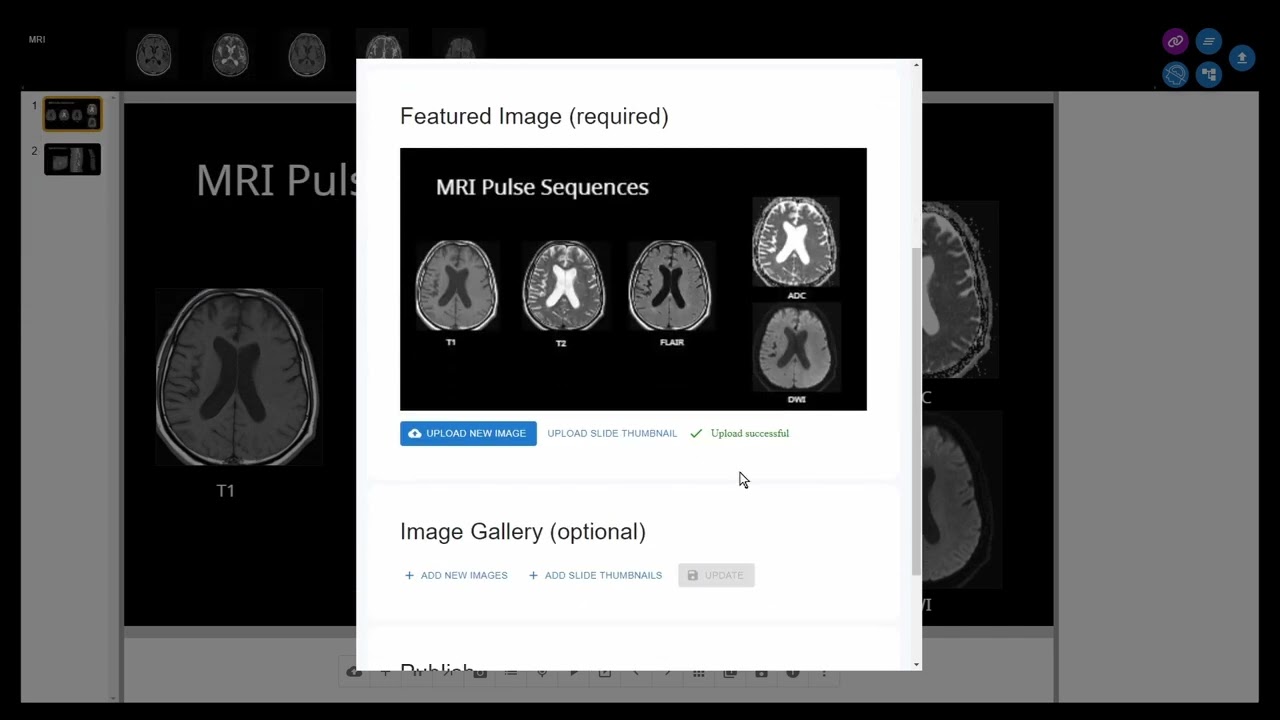 RadPPTX Editor Tutorial: Publishing